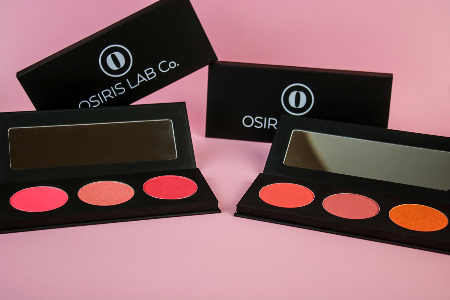 PALETAS DE BLUSH