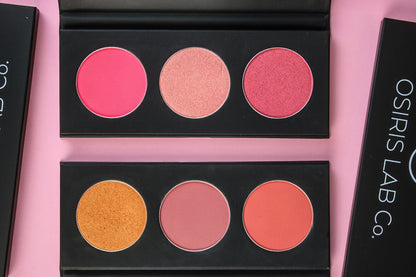 PALETAS DE BLUSH